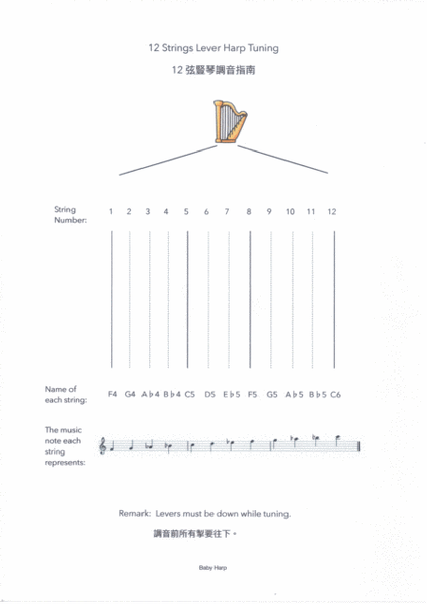 The Beginner's Book for 12 String Harp