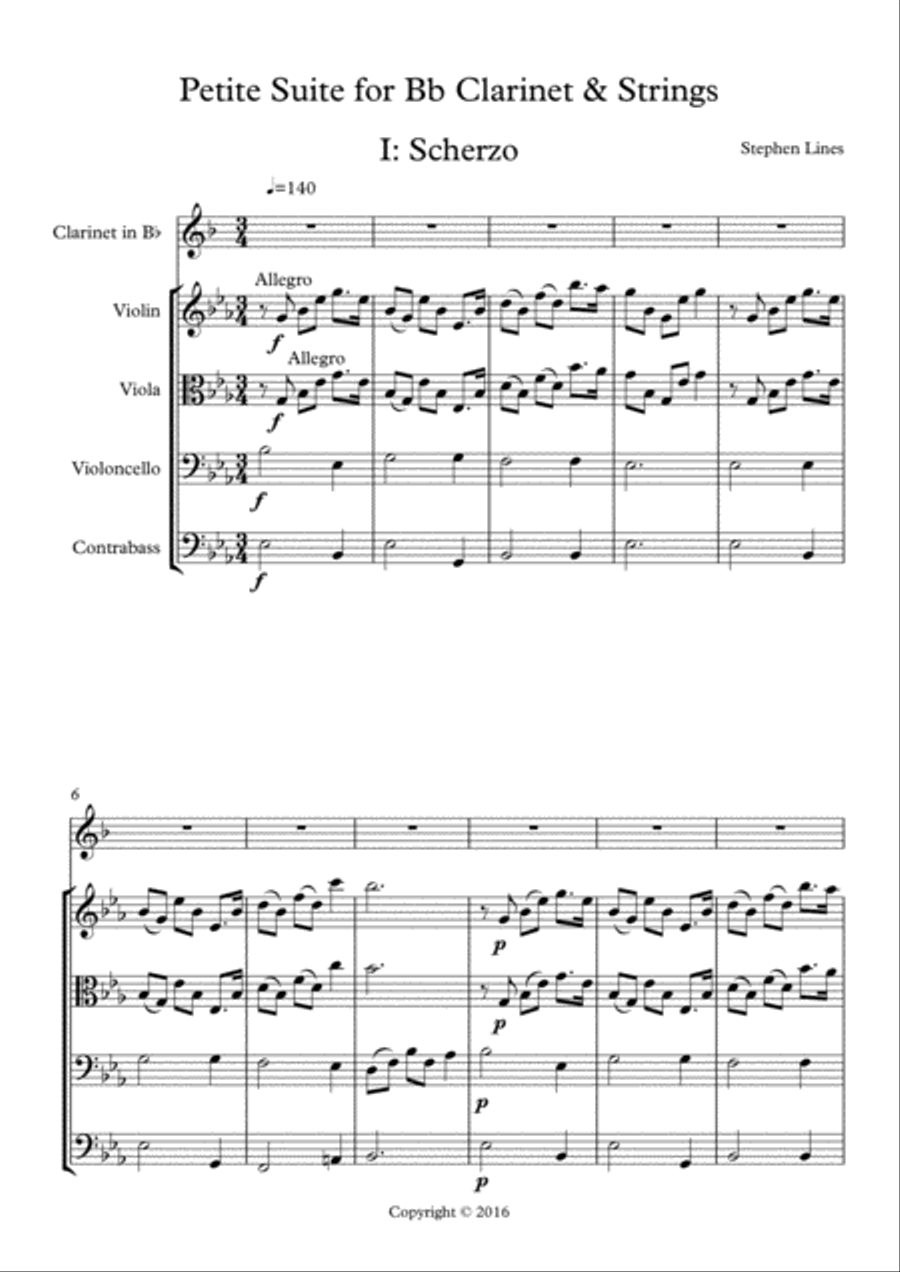 Variations on a Theme for Bb Clarinet and Strings Chamber Orchestra scores gallery preview page 2