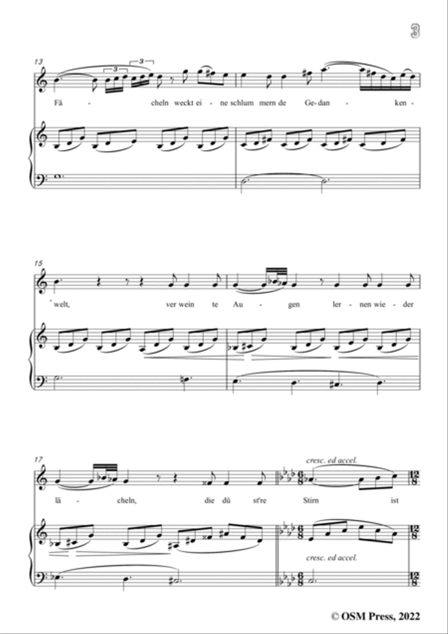 Loewe-Musik,in C Major,for Voice and Piano Voice Solo scores gallery preview page 5