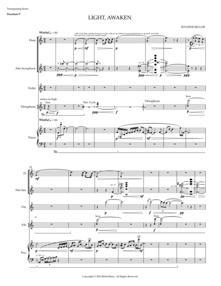 Light, Awaken - flute, alto sax, violin, piano, percussion image number null