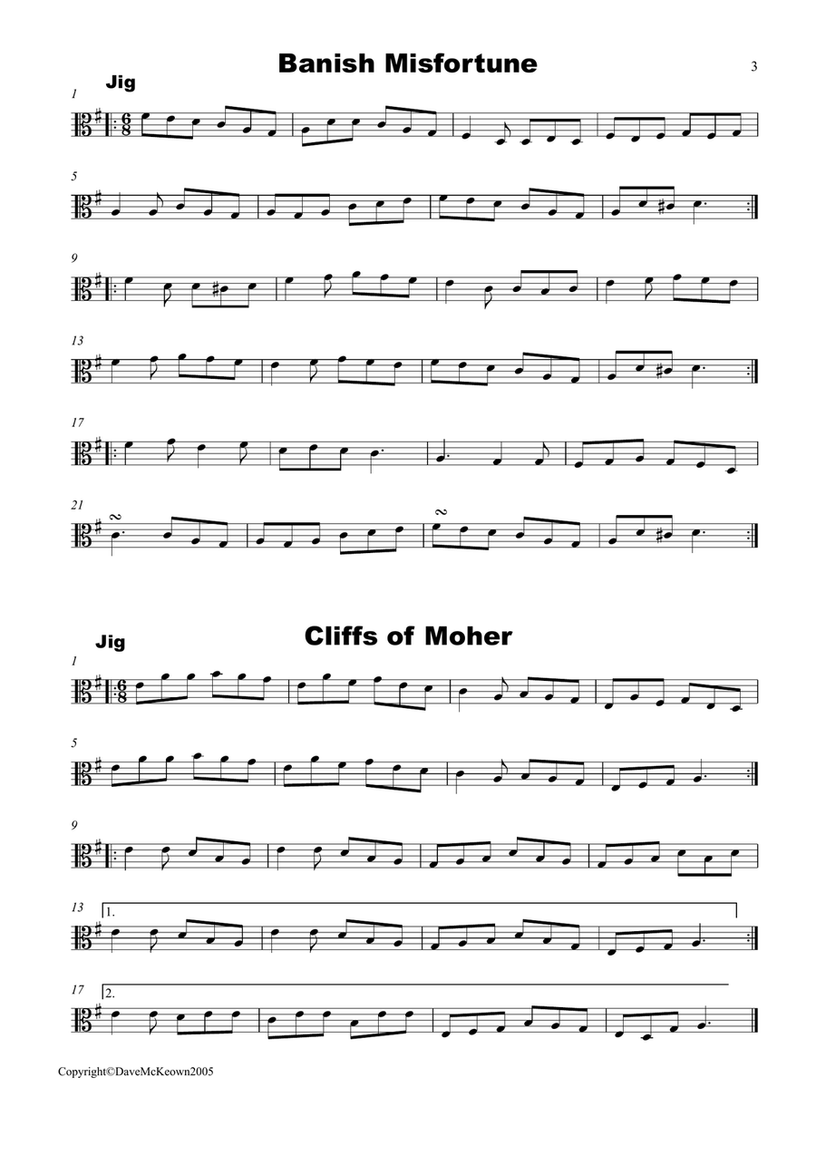 Irish Dance Music Vol.1 for Viola; 40 Jigs, Reels, Hornpipes and more.... Viola Solo scores gallery preview page 3