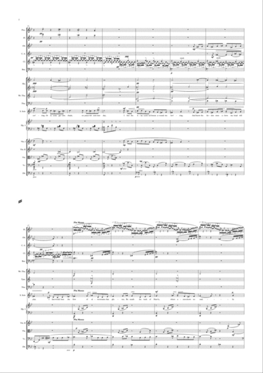 Rachmaninov: Melody Op. 21 no. 9 (Orchestrated song) Full Orchestra scores gallery preview page 2