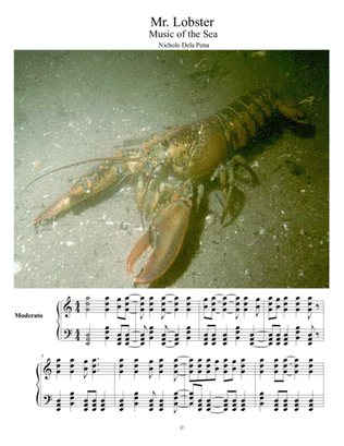 "Mr. Lobster" The Music of the Sea