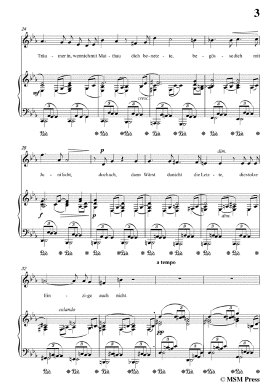 Richard Strauss-Die Georgine in c minor,for Voice and Piano Voice Solo scores gallery preview page 5
