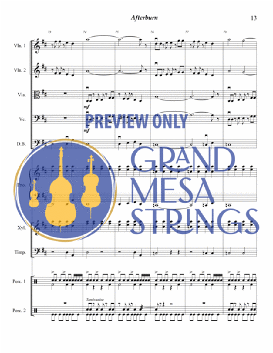 Afterburn for Strings & Percussion String Orchestra scores gallery preview page 14