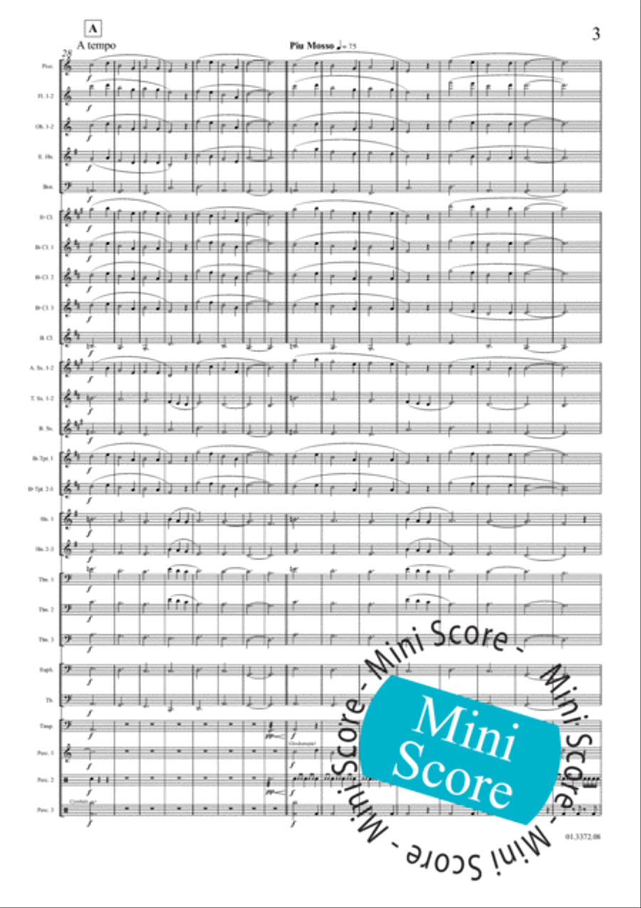 TESEO Concert Band scores gallery preview page 9