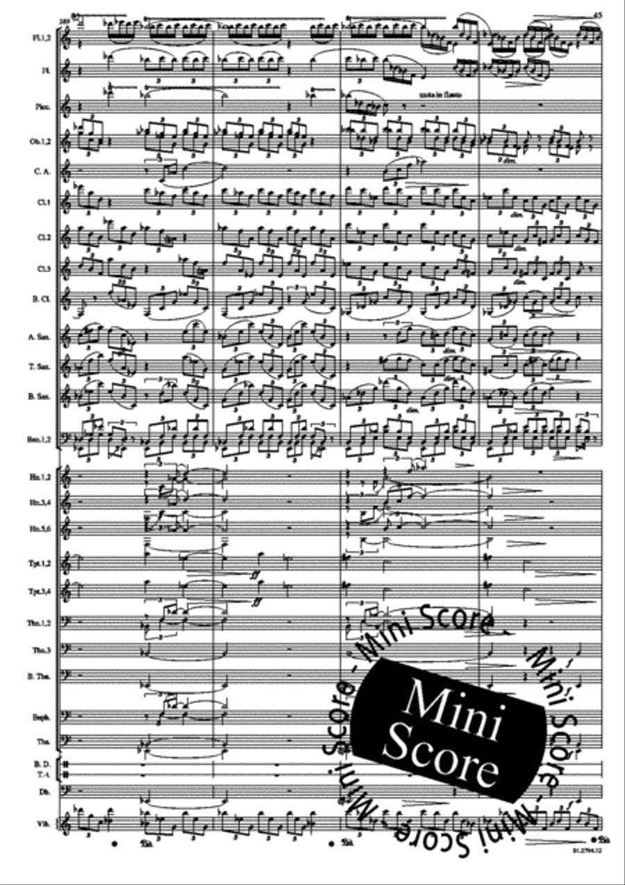 Concerto for Percussion and Band Concert Band scores gallery preview page 49