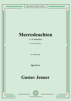 Jenner-Meeresleuchten,in e flat minor,Op.4 No.1