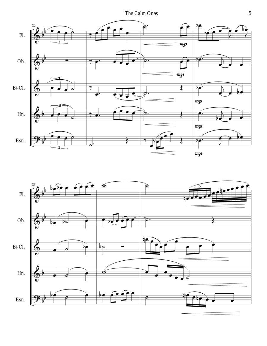 The Calm Ones (in a Noisy World) - woodwind quintet Woodwind Quintet scores gallery preview page 5
