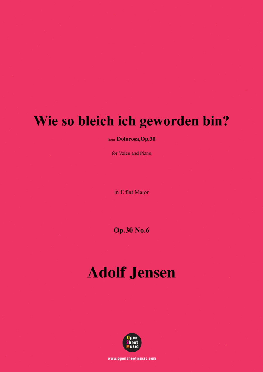 A. Jensen-Wie so bleich ich geworden bin?,Op.30 No.6,in E flat Major Voice scores gallery preview page 1