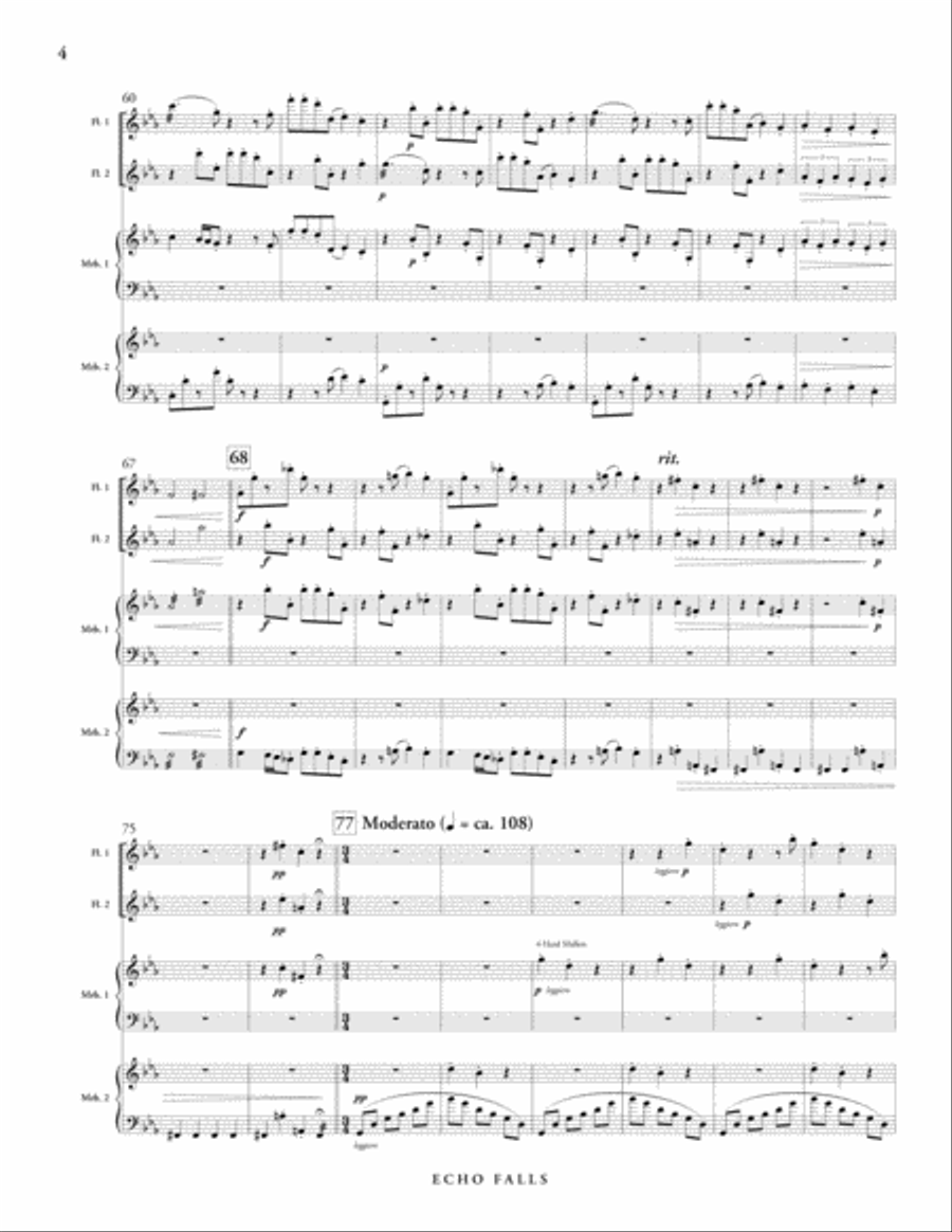Echo Falls Flute Duet scores gallery preview page 5