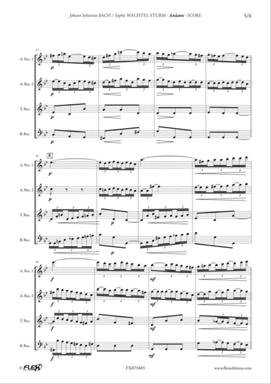 Andante Andante Alto Recorder scores gallery preview page 5
