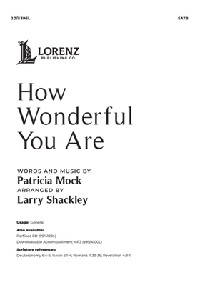 Book cover for How Wonderful You Are