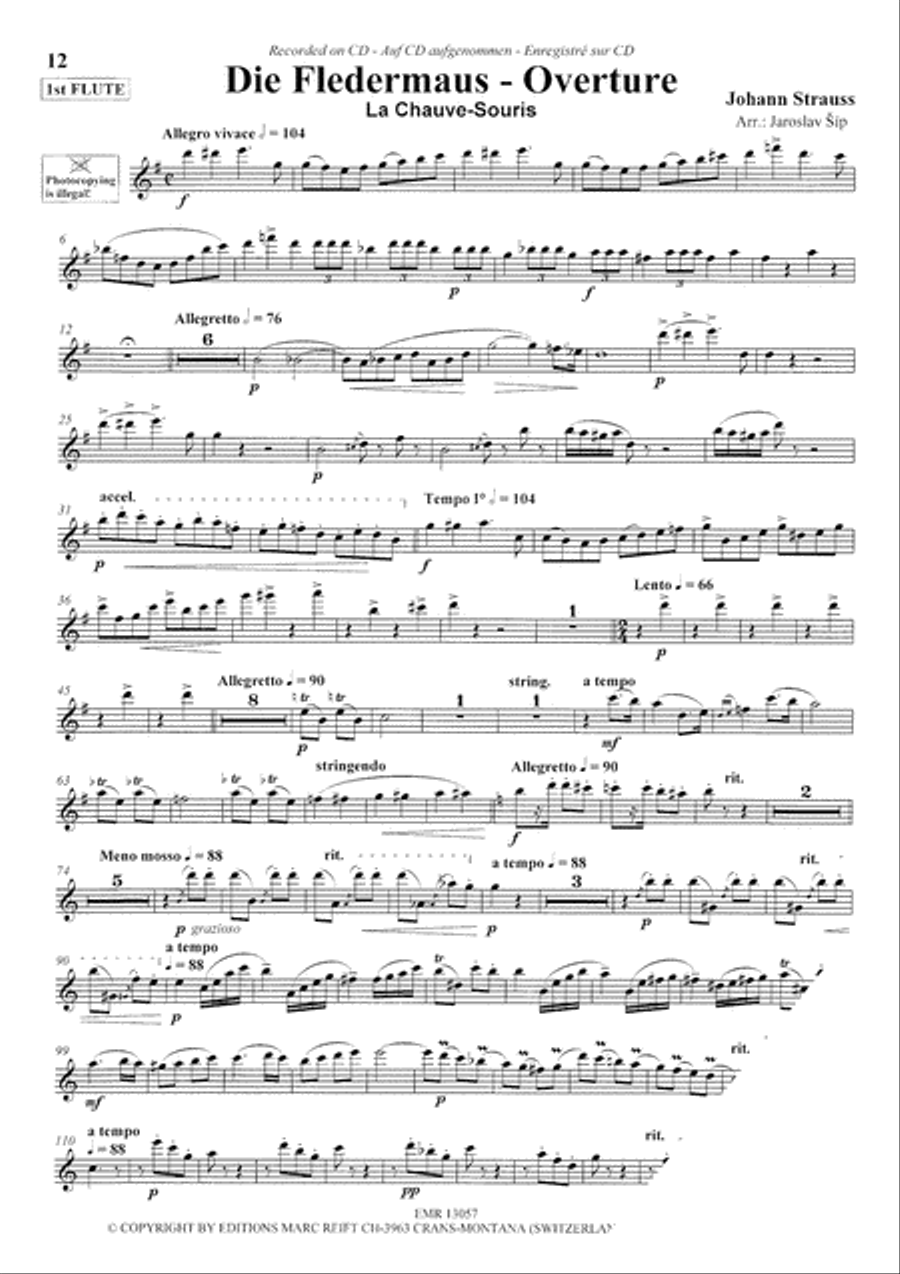 Play The 1st Flute With The Philharmonic Wind Orchestra Concert Band scores gallery preview page 7
