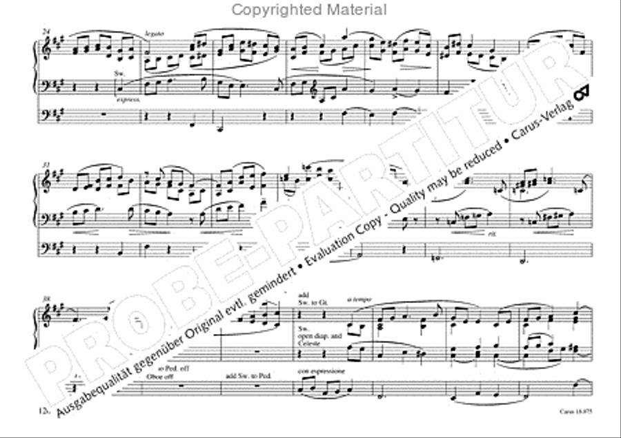 Freiburger Orgelbuch: Stammteil Organ Solo scores gallery preview page 121