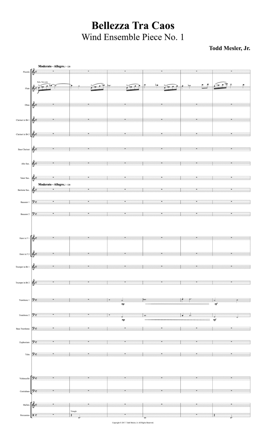 Bellezza Tra Caos Bellezza Tra Caos Concert Band scores gallery preview page 1