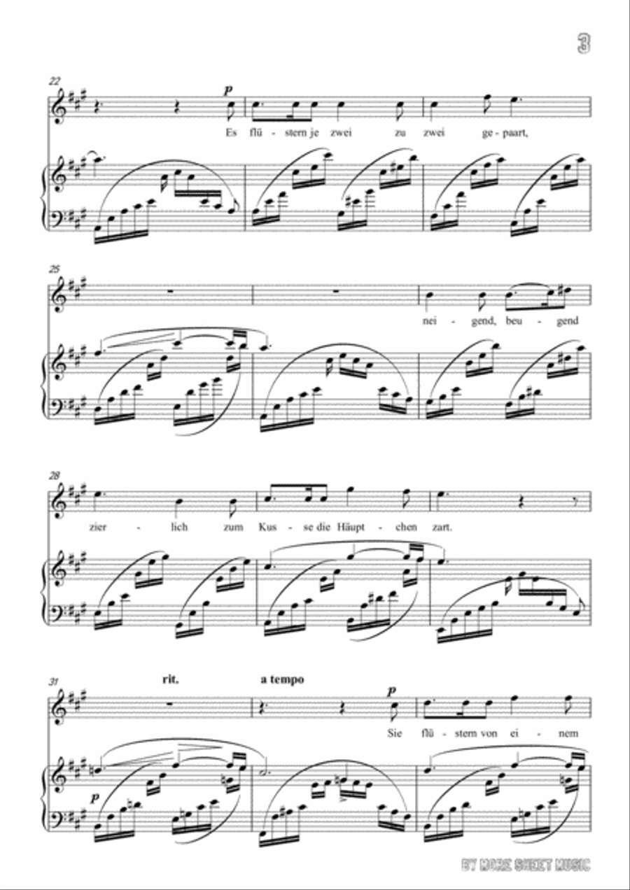 Schumann-Der Nussbaum in A Major,for Voice and Piano Voice Solo scores gallery preview page 5