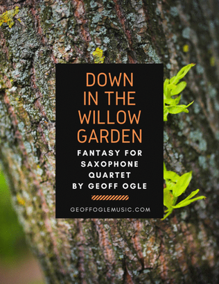 Book cover for Down in the Willow Garden