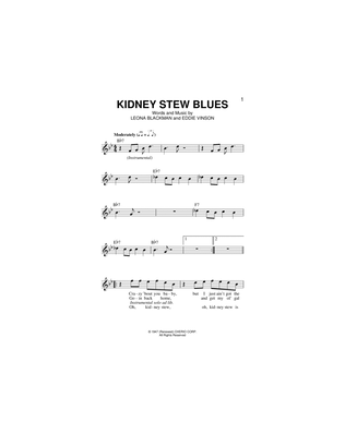 Book cover for Kidney Stew Blues
