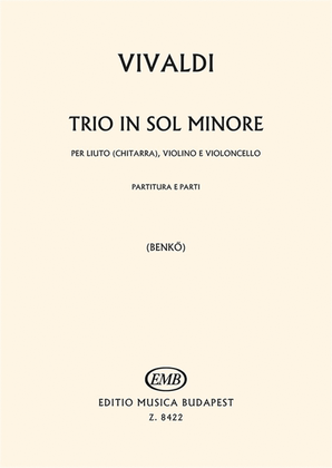 Book cover for Trio in sol minore per liuto (chitarra), violino