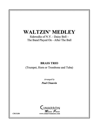 Book cover for Waltzin' Medley