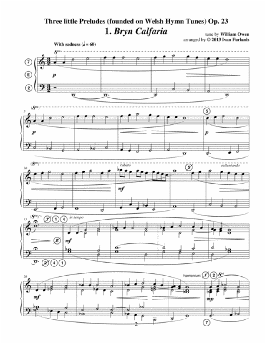 Three little Preludes (founded on Welsh Hymn Tunes) Op. 23 Organ Solo scores gallery preview page 2