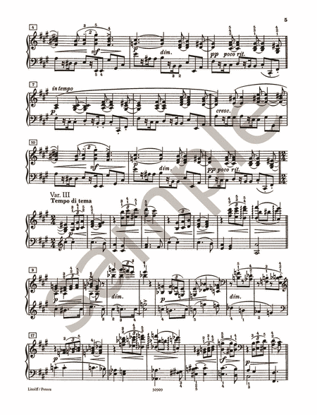 Piano Works -- Variationen Opp. 9, 21, 24, 35
