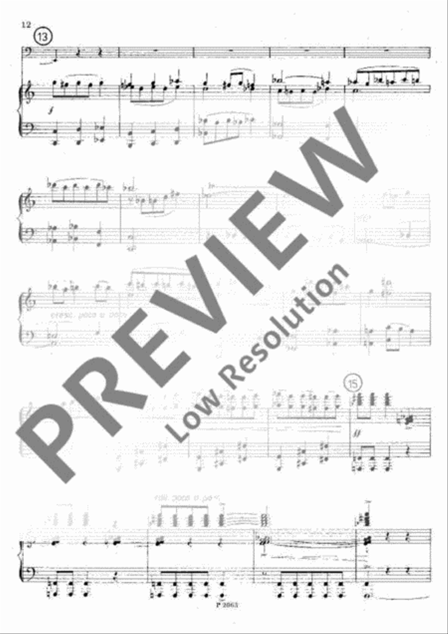 Rapsodia Rapsodia Piano scores gallery preview page 13