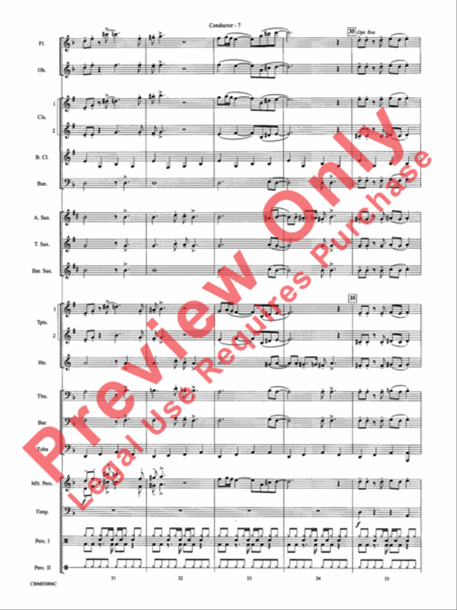 The James Bond Theme (from Die Another Day) Concert Band scores gallery preview page 10