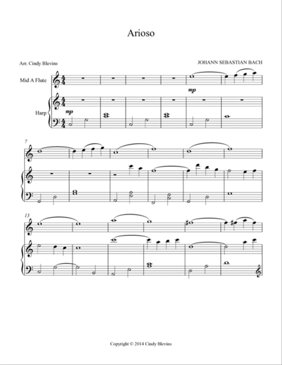 Arioso, for Harp and Native American Flute Flute scores gallery preview page 2