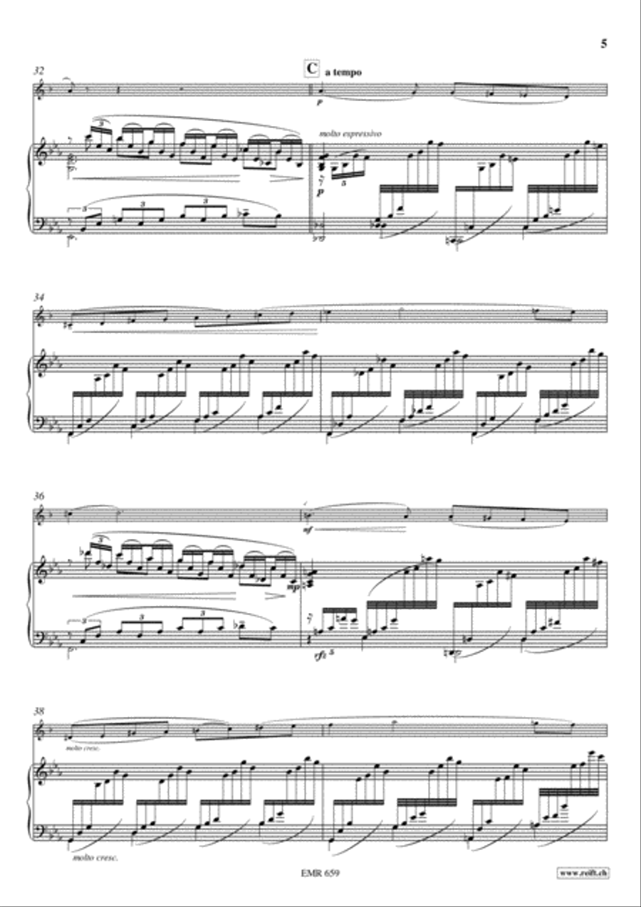 Konzert No. 1 c-moll Trumpet Solo scores gallery preview page 6