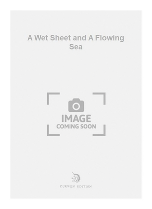 Book cover for A Wet Sheet and A Flowing Sea
