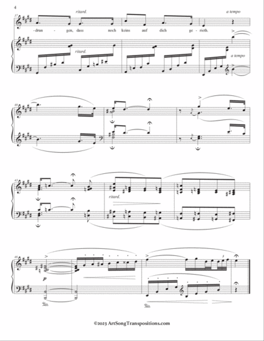 SCHUMANN: Stille Liebe (transposed to 9 keys: E, E-flat, D, C-sharp, C, B, B-flat, A, A-flat major) Voice scores gallery preview page 5