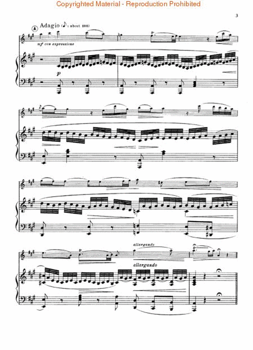 Concerto No. 5 in A, K.219