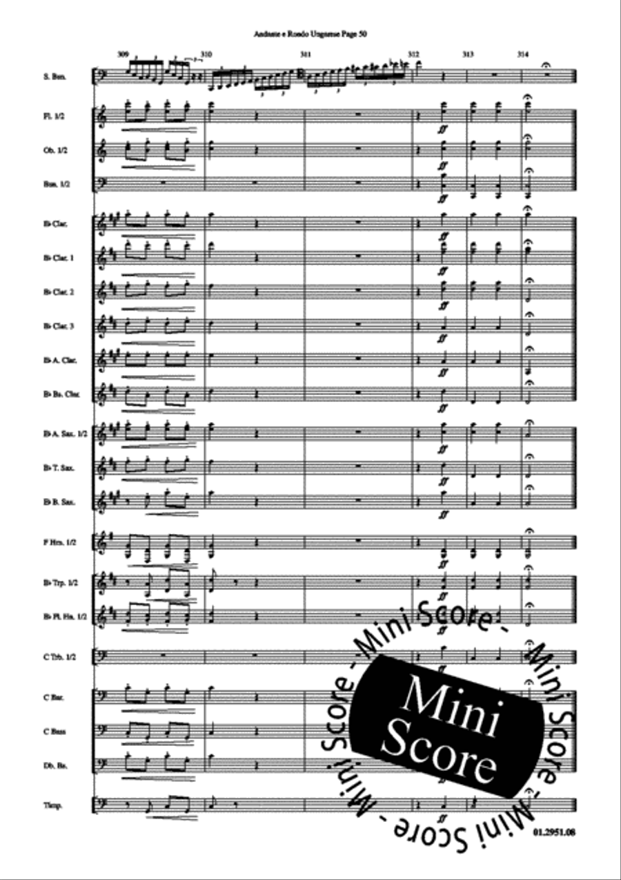 Andante e Rondo Ungarese Concert Band scores gallery preview page 54