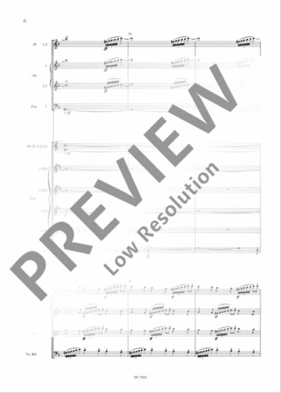 Die Walküre Orchestra scores gallery preview page 19