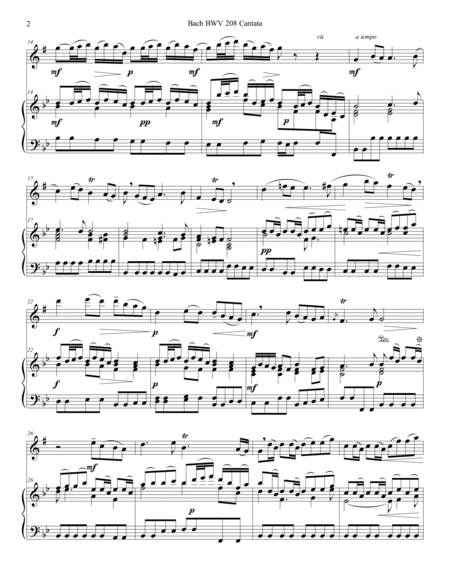 Bach BWV 208 Aria May Sheep Safely Graze Alto Sax Solo Parts and Score