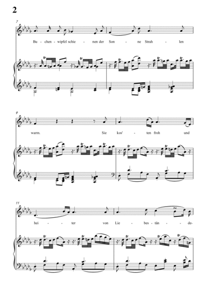 Schubert-Der Schäfer und der Reiter in bD Op.13 No.1,for Vocal and Piano