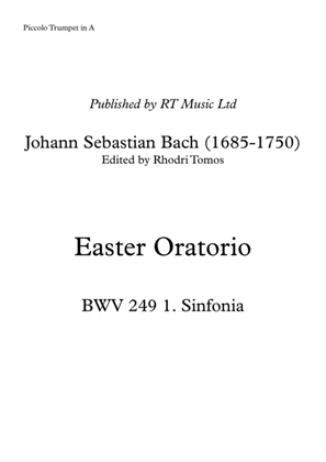 Book cover for Bach BWV 249 Easter Oratorio - trumpet 1 parts