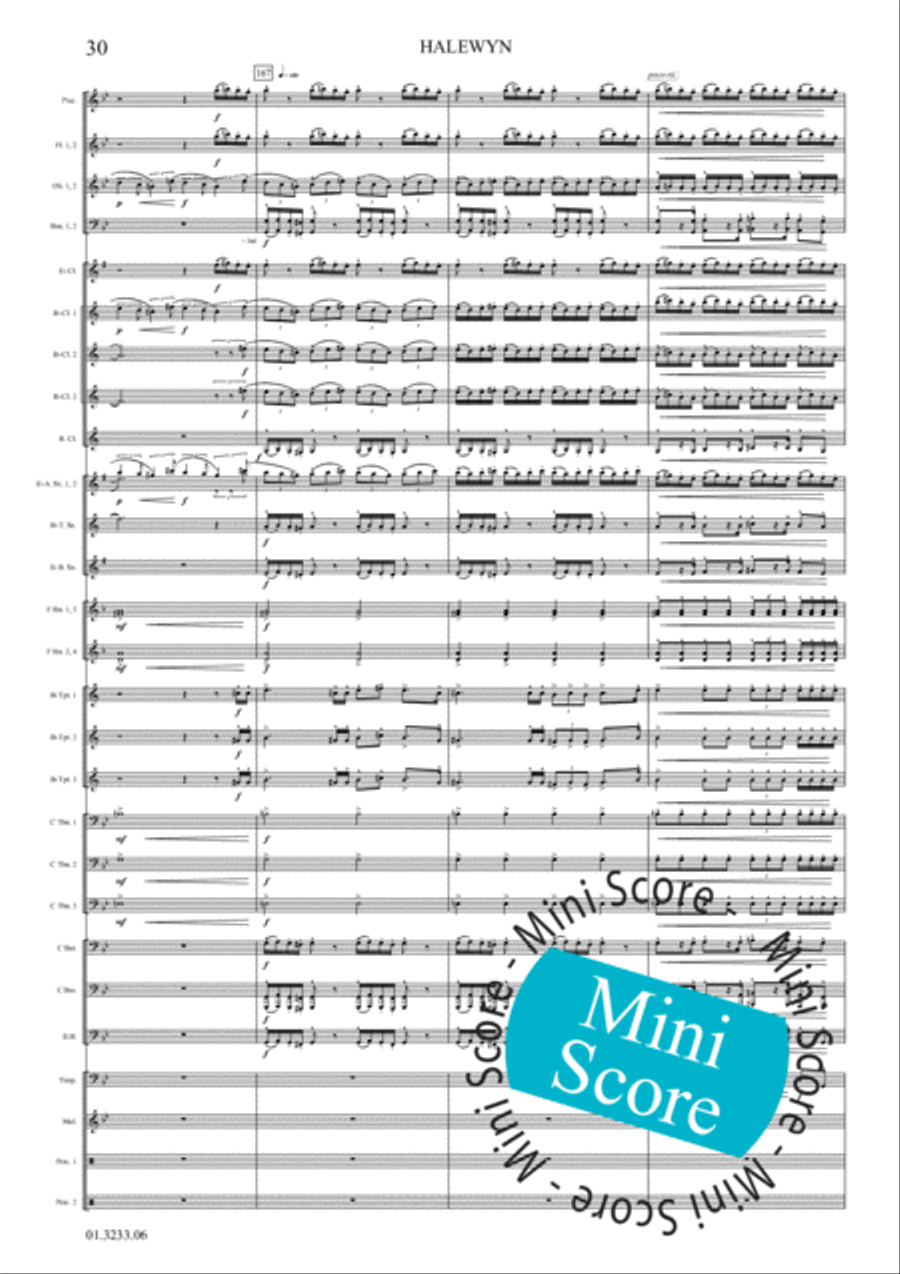 Halewijn Concert Band scores gallery preview page 36