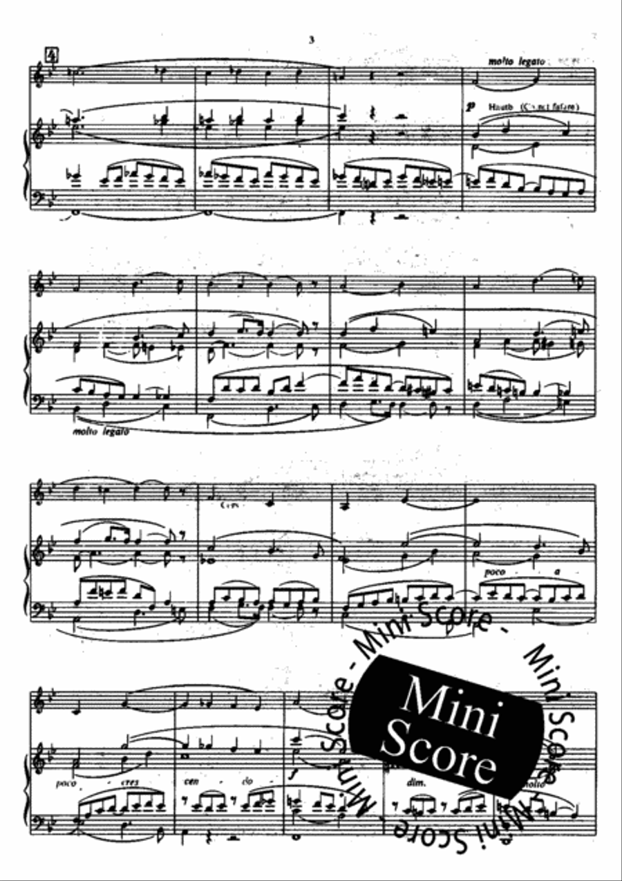 Cantabile Concert Band scores gallery preview page 5