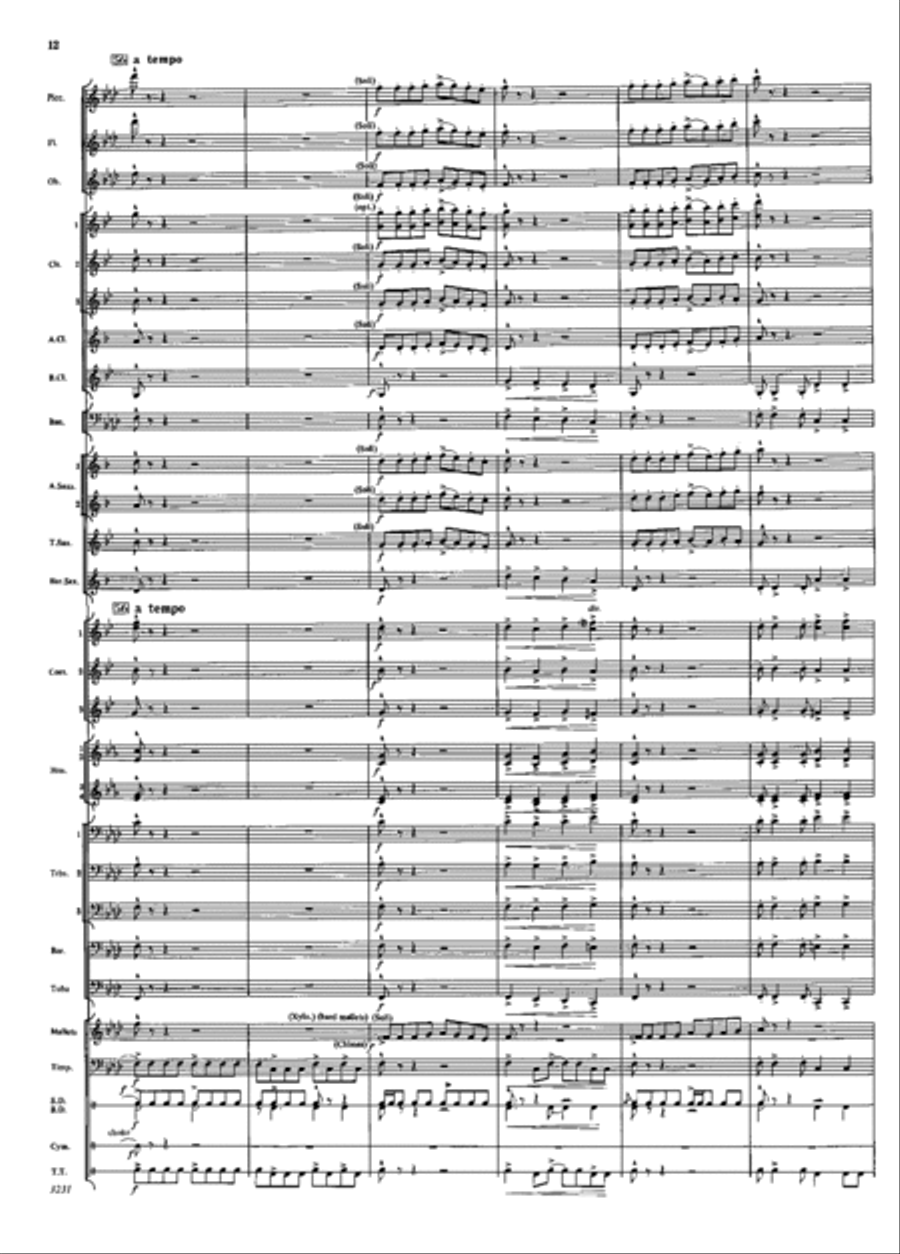 Aventura Concert Band scores gallery preview page 11