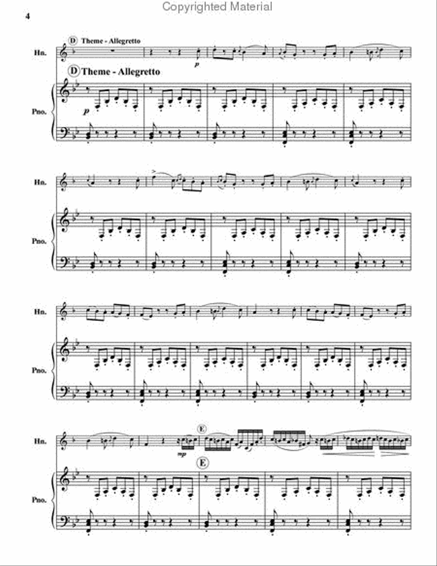 Fantasy and Variations on the Carnival of Venice Piano Accompaniment scores gallery preview page 3