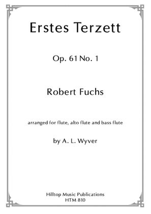 Erstes Terzett Op. 61 No. 1 arr. flute, altoflute and bassflute
