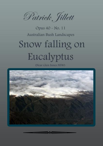 Snow falling on Eucalyptus - Australian Bush Landscapes image number null