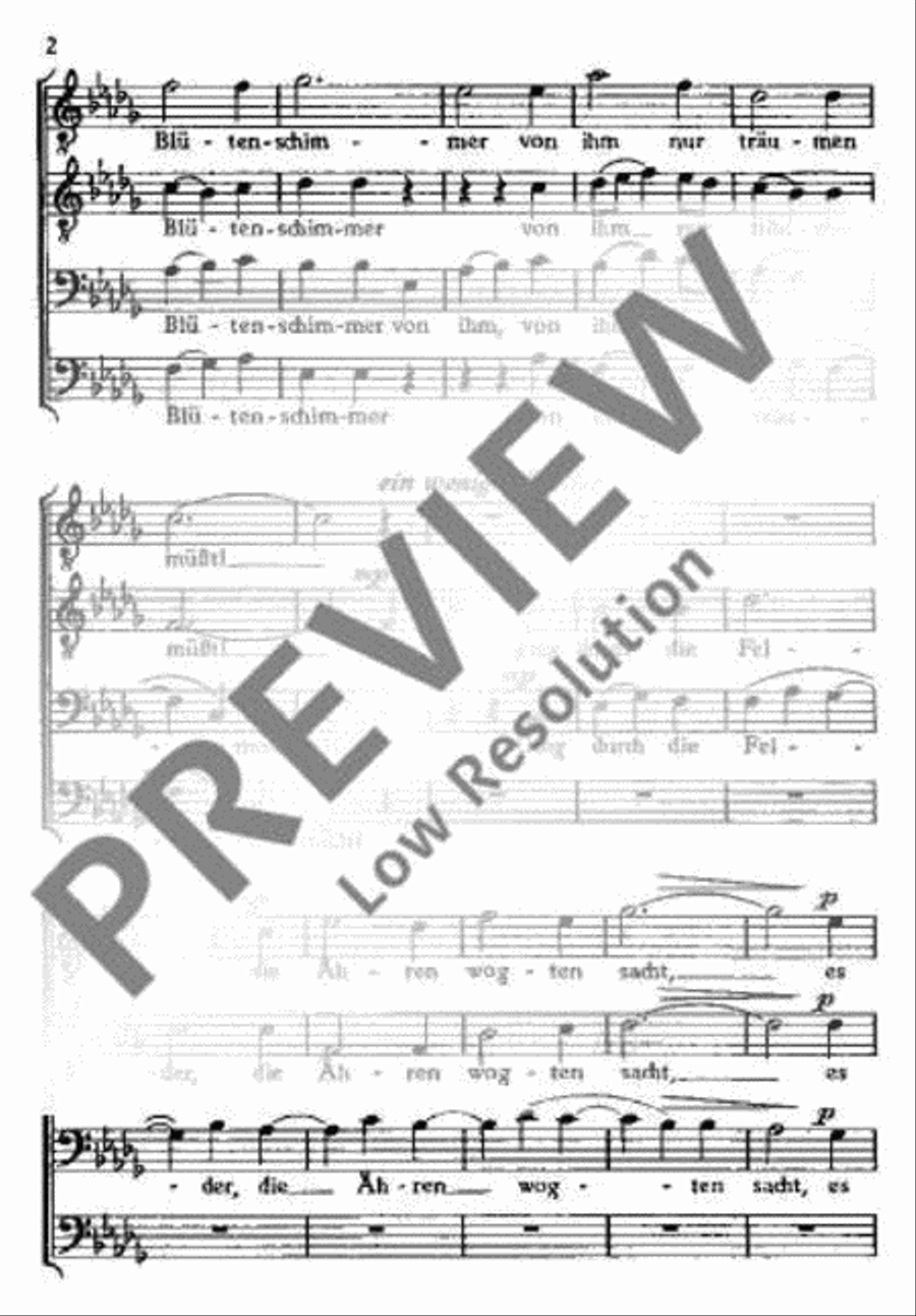 Mondnacht Mondnacht Men's Choir scores gallery preview page 3