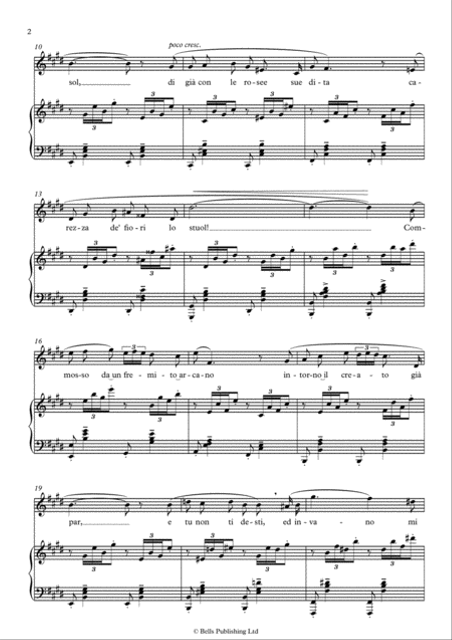 Mattinata (E Major) Voice Solo scores gallery preview page 2
