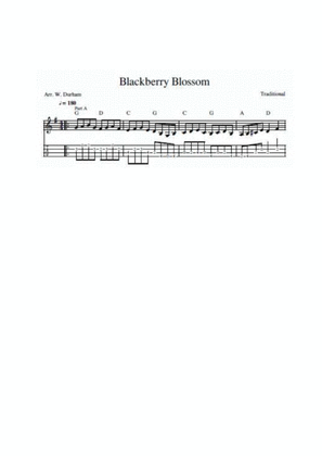 Blackberry Blossom - for Ukulele