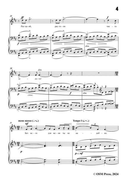 Rachmaninoff-The Ring(Кольцо;Kol'tso),in b minor,Op.26 No.14
