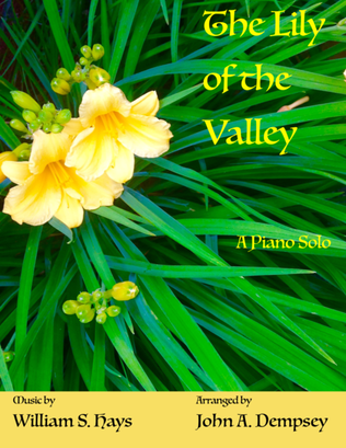 Book cover for The Lily of the Valley (Classical Style Hymn: Piano Solo)